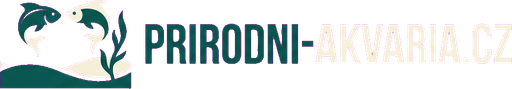 Bonus za registraci bez vkladu 2026. Peníze zdarma a Free Spiny